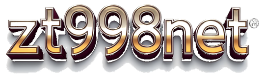 zt9398net logo